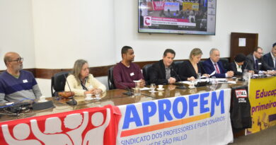 Audiência Pública reúne entidades em defesa do Serviço Público